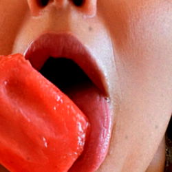 Bad to the Bone photo