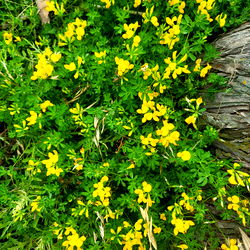 โก ๐๐ช๐ถ๐ซ๐ฒ ๐ฅ๐ช๐ต๐ฎ๐ท๐ฝ๐ฒ๐ท๐ฎ โก photo