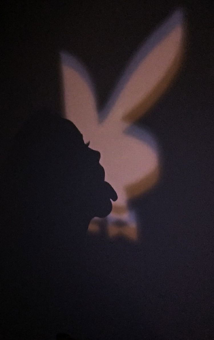 ✨ 𝓐𝓶𝓪𝓵𝓲𝓪 ✨ photo