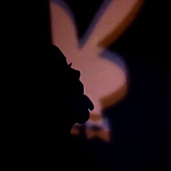 โจ ๐๐ถ๐ช๐ต๐ฒ๐ช โจ photo