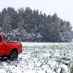 Red Truck in Snowy Field