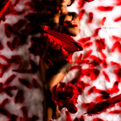 Red Rose Petals