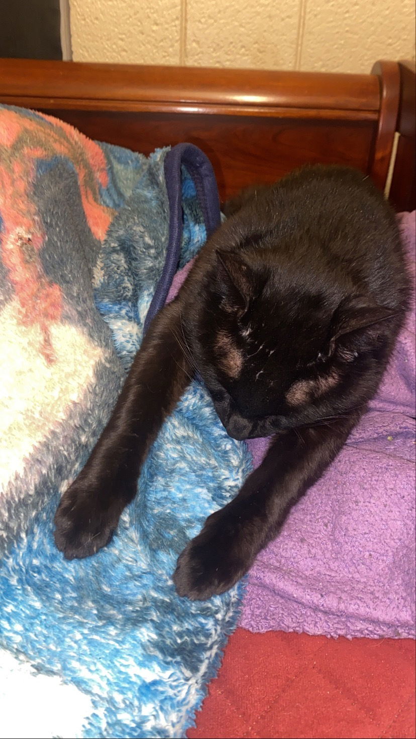 Alexx_got_tha_drip photo