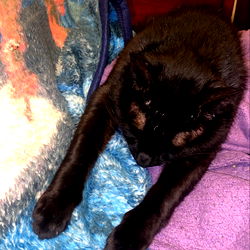 Alexx_got_tha_drip photo