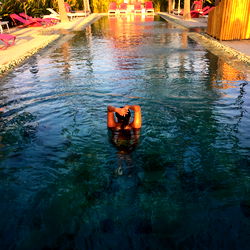 Swimming in a Large Pool
