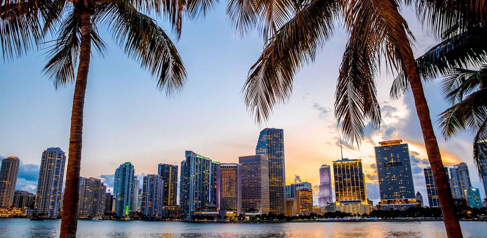 Amber Jaee 🍯 photo