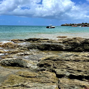 A'Santi Blackshear photo