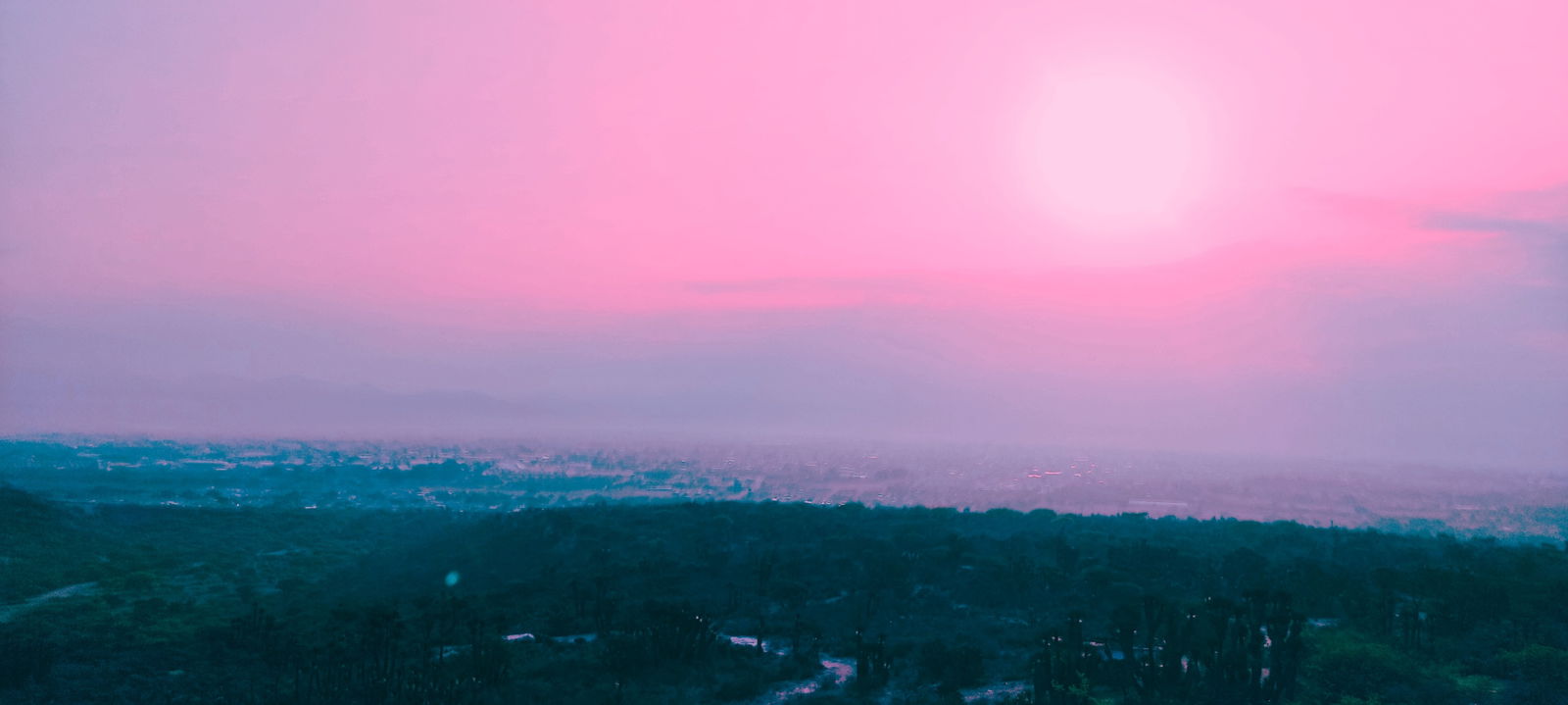 Alessandro Sebastián photo