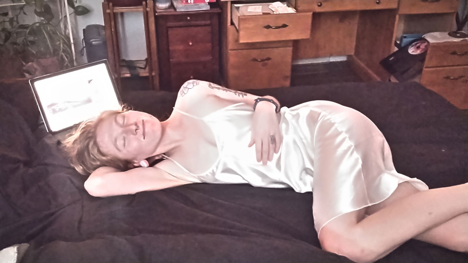 Admiral Anaconda photo