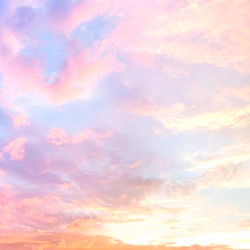 ❤️🍕Maze 🍕 ❤️ photo