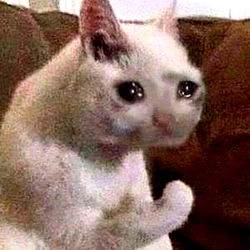 Ame Airi (Milkuu) photo