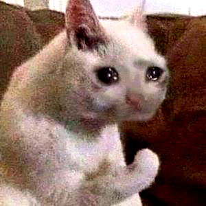 Ame Airi (Milkuu) photo