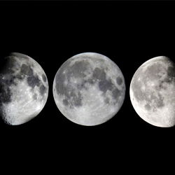 𝐏𝐚𝐫𝐤𝐞𝐫⛓️🖤 photo