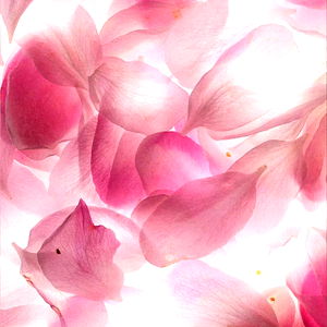 Angel๐ซง photo