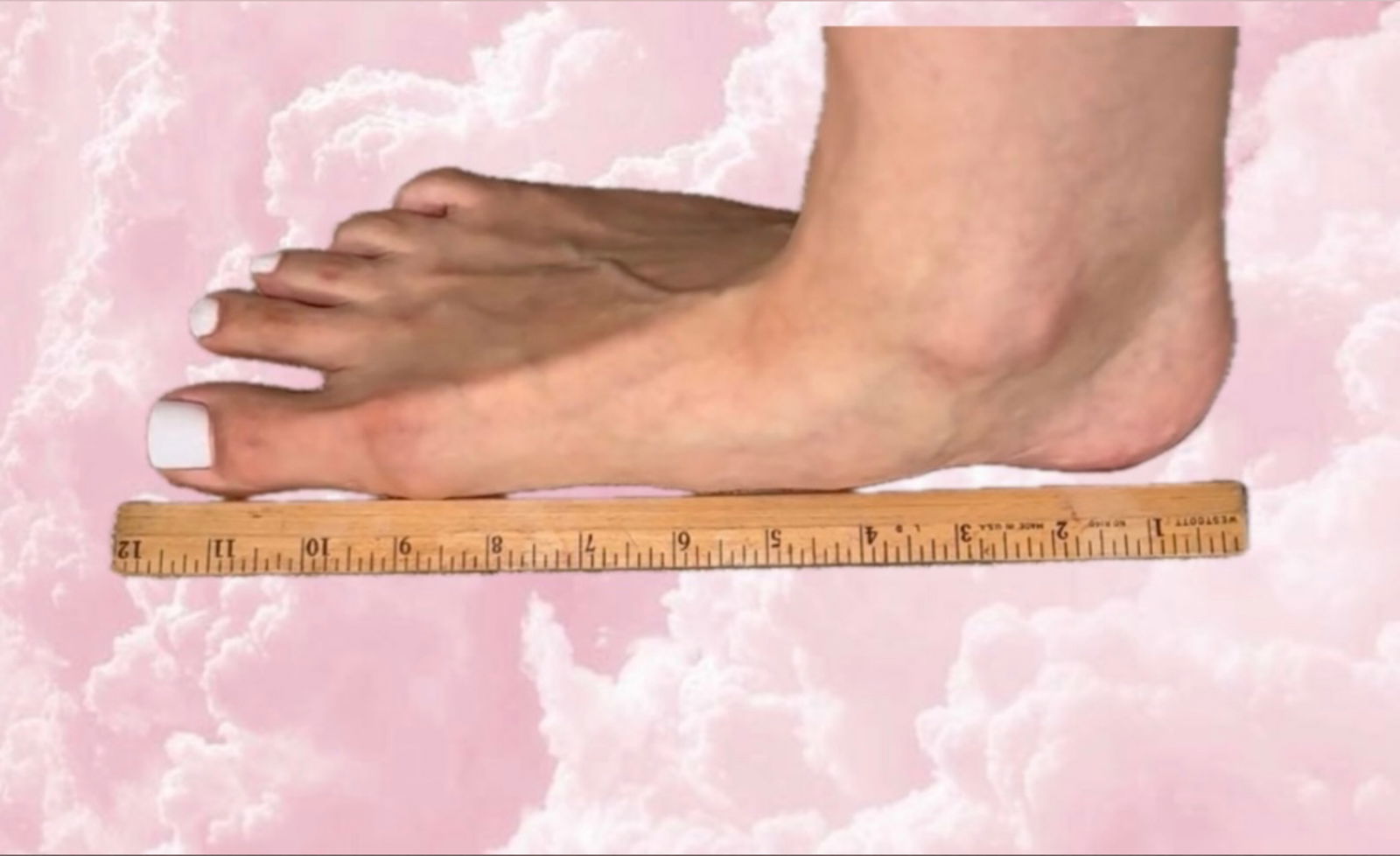 ✨ Amazon Aria ✨ photo