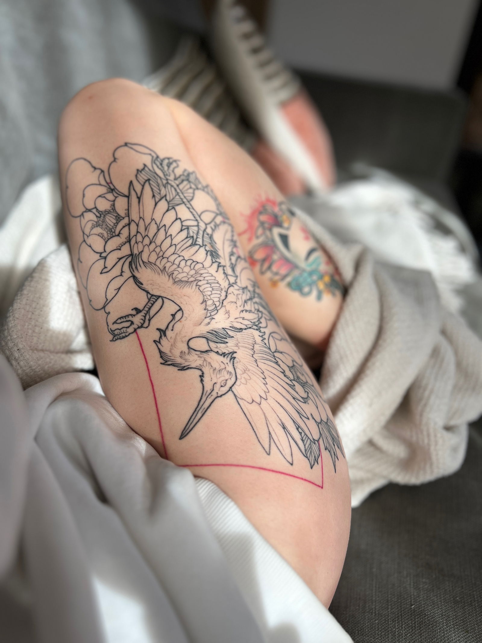 Acky Fiaky Free Subscription 🤍 photo