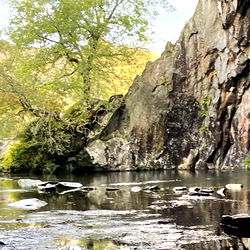 Ashleigh in a serene outdoor setting