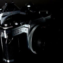 Viator Defessus Photography photo