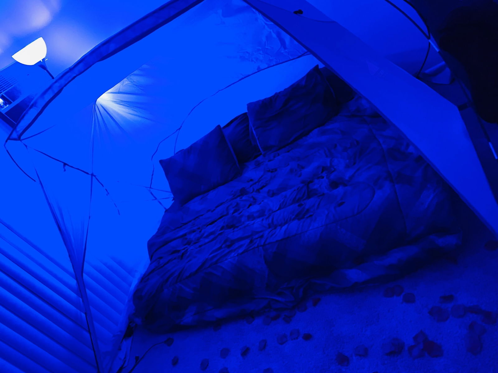 Jazmin Lashaye photo