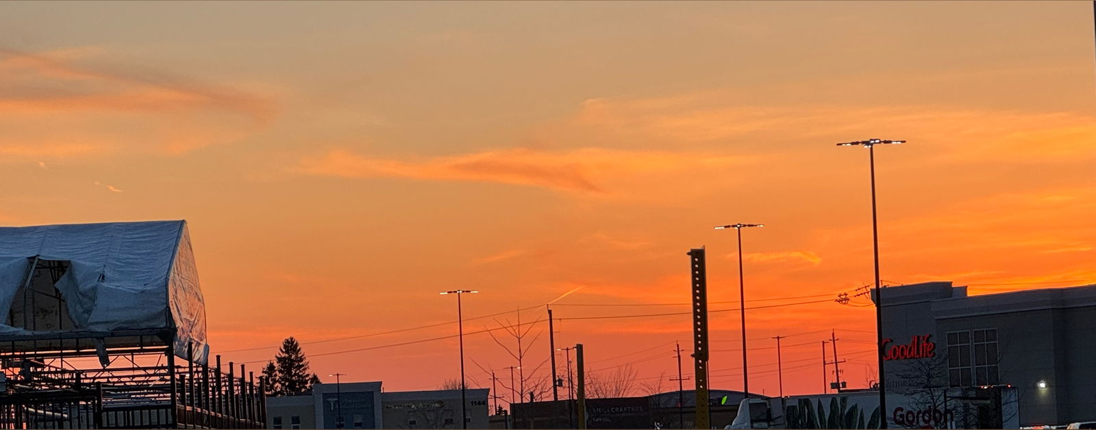 Andrew MacKenzie photo