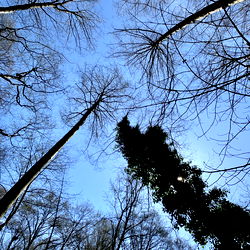 AsianSuperhero photo