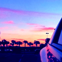 BabyGirl564789 photo