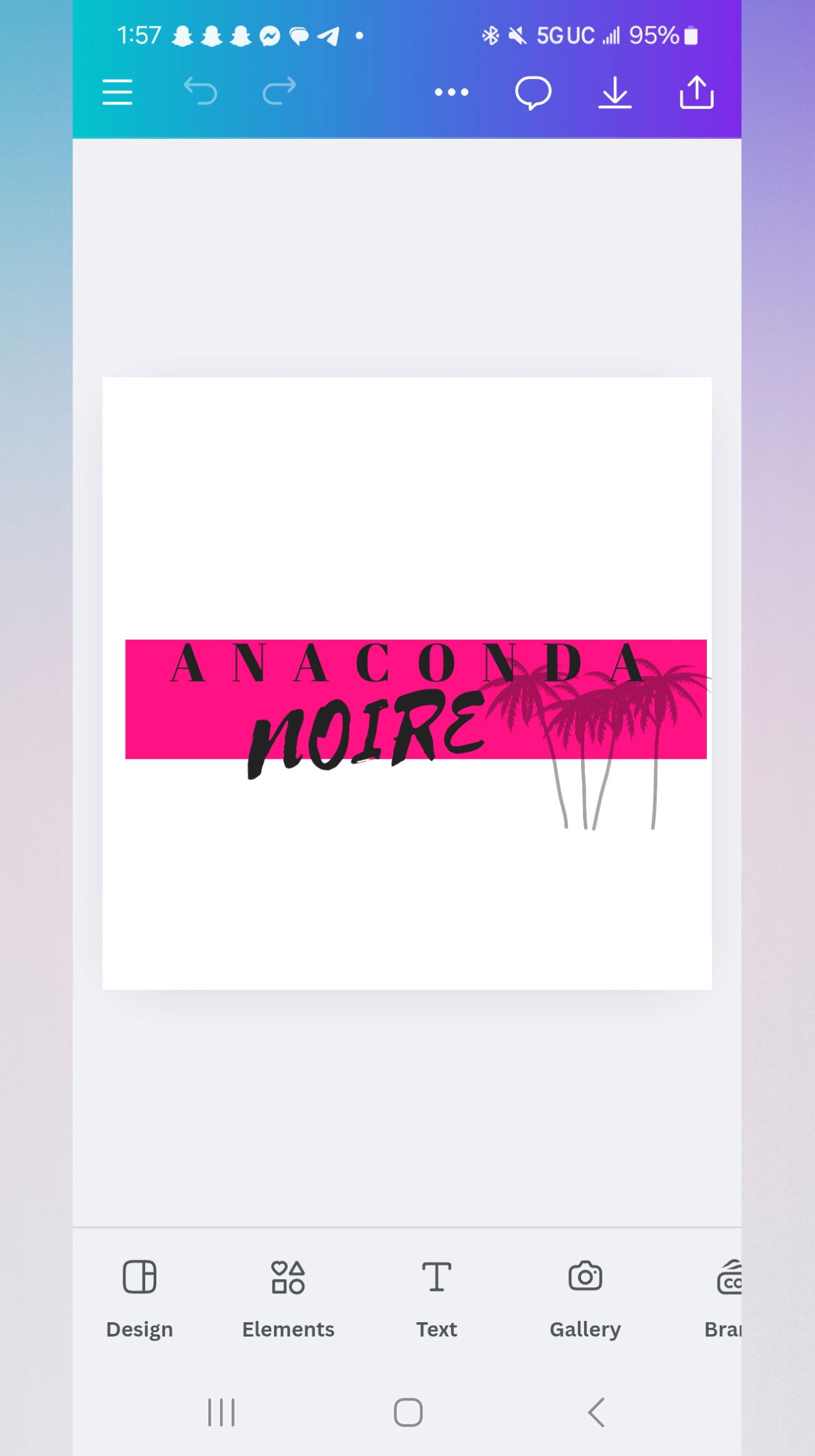 ANACONDA NOIRE photo