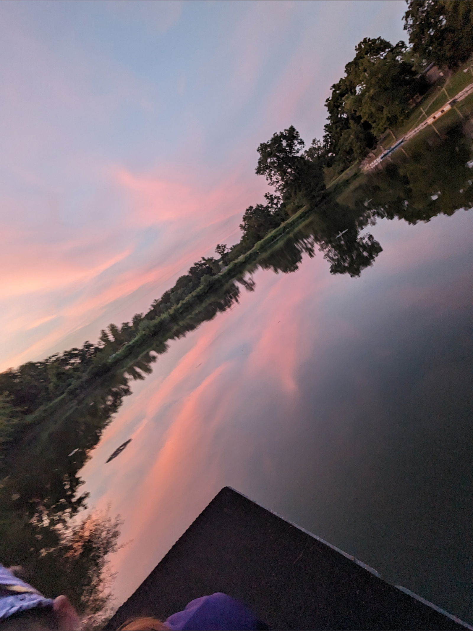 Alizabeth ✨🐈‍⬛✨ photo