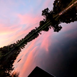 Alizabeth ✨🐈‍⬛✨ photo