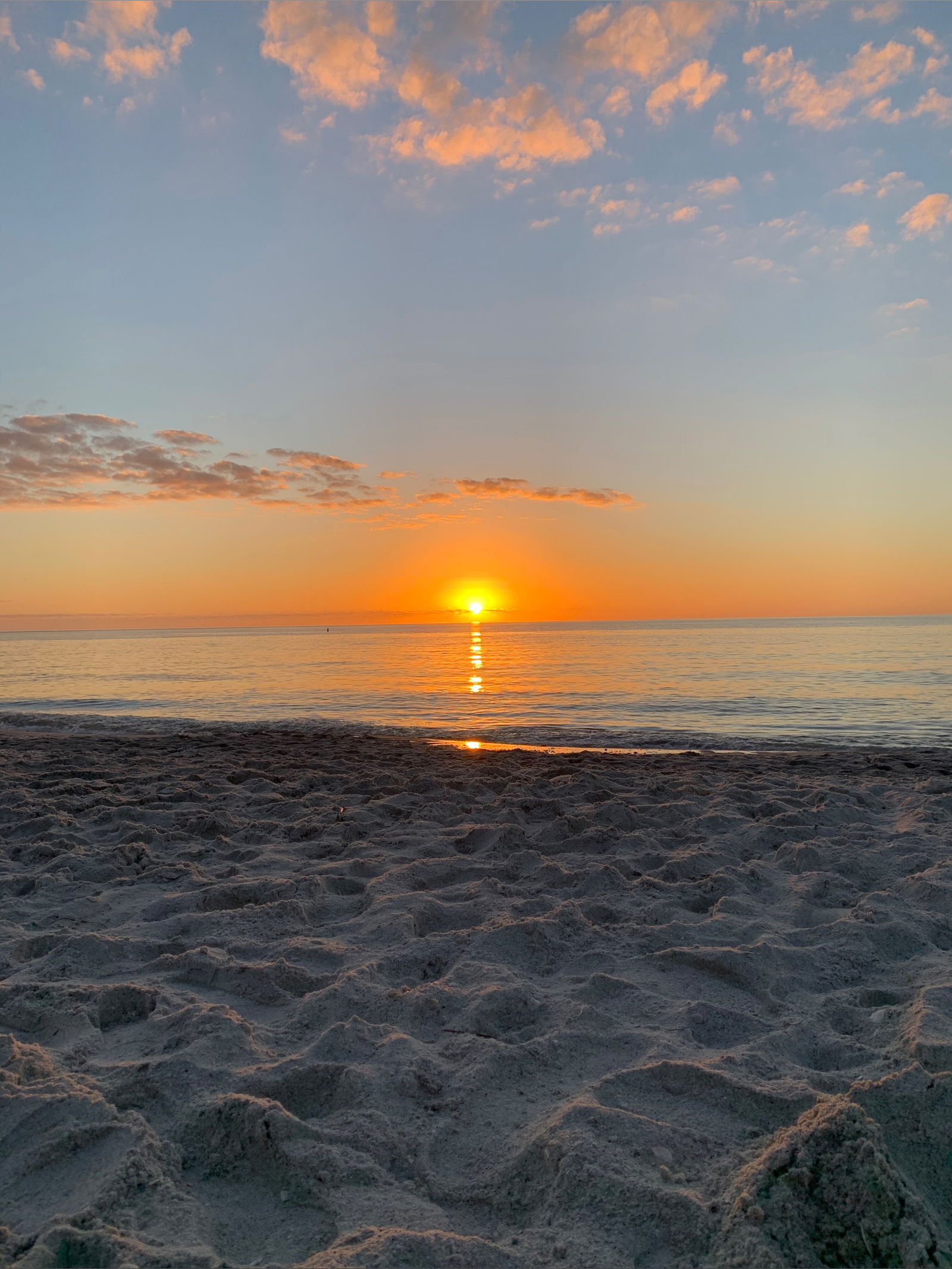 Florida Muscle Bottom photo