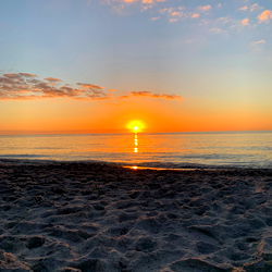 Florida Muscle Bottom photo