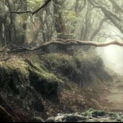 โจ aozora โจ photo