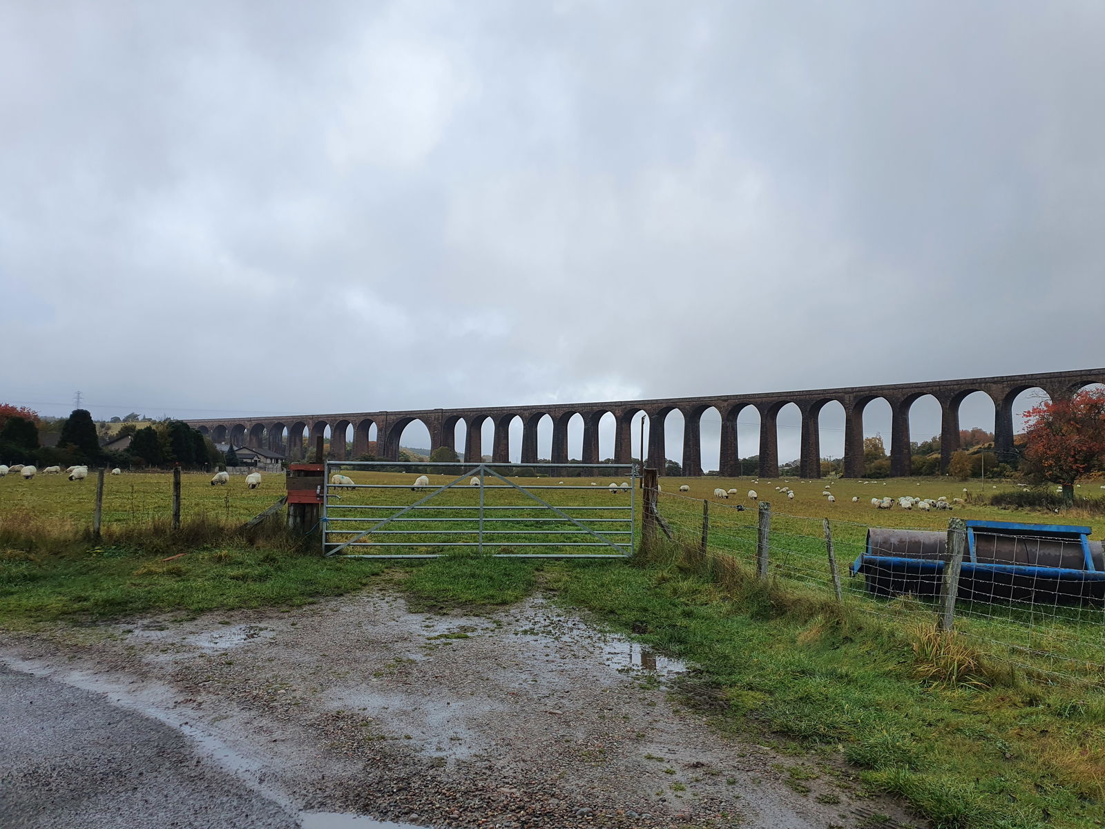 Aaron 🍕🍕🍕 photo