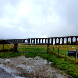 Aaron 🍕🍕🍕 photo