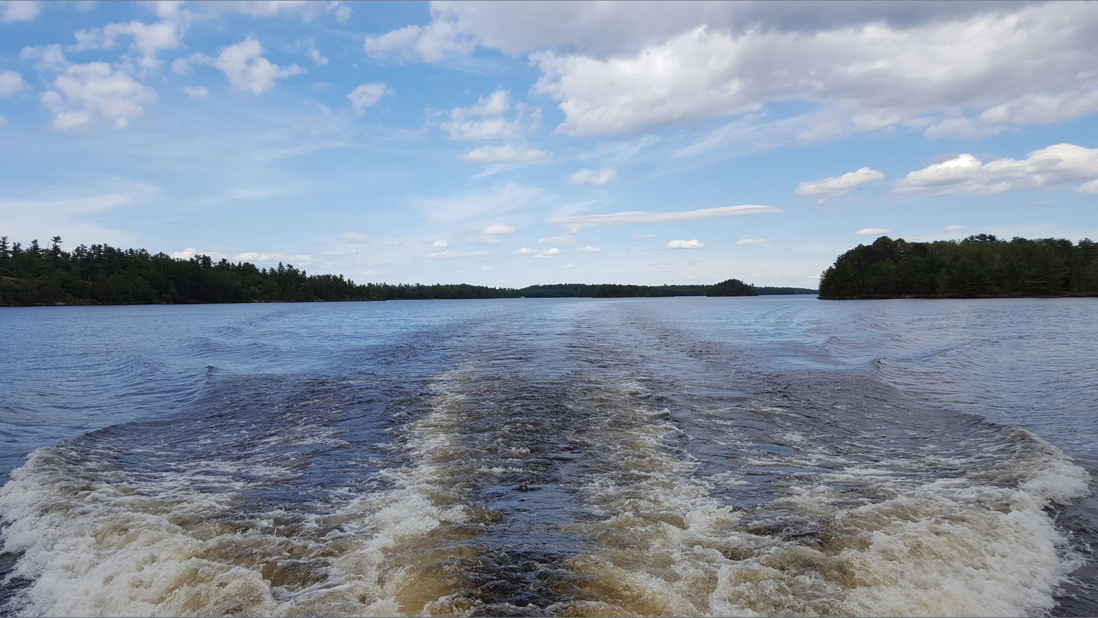 That Average Guy photo