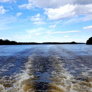 That Average Guy photo