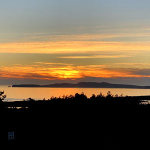 D Love โ๐ผ photo