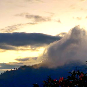 Isaรญas Arce photo