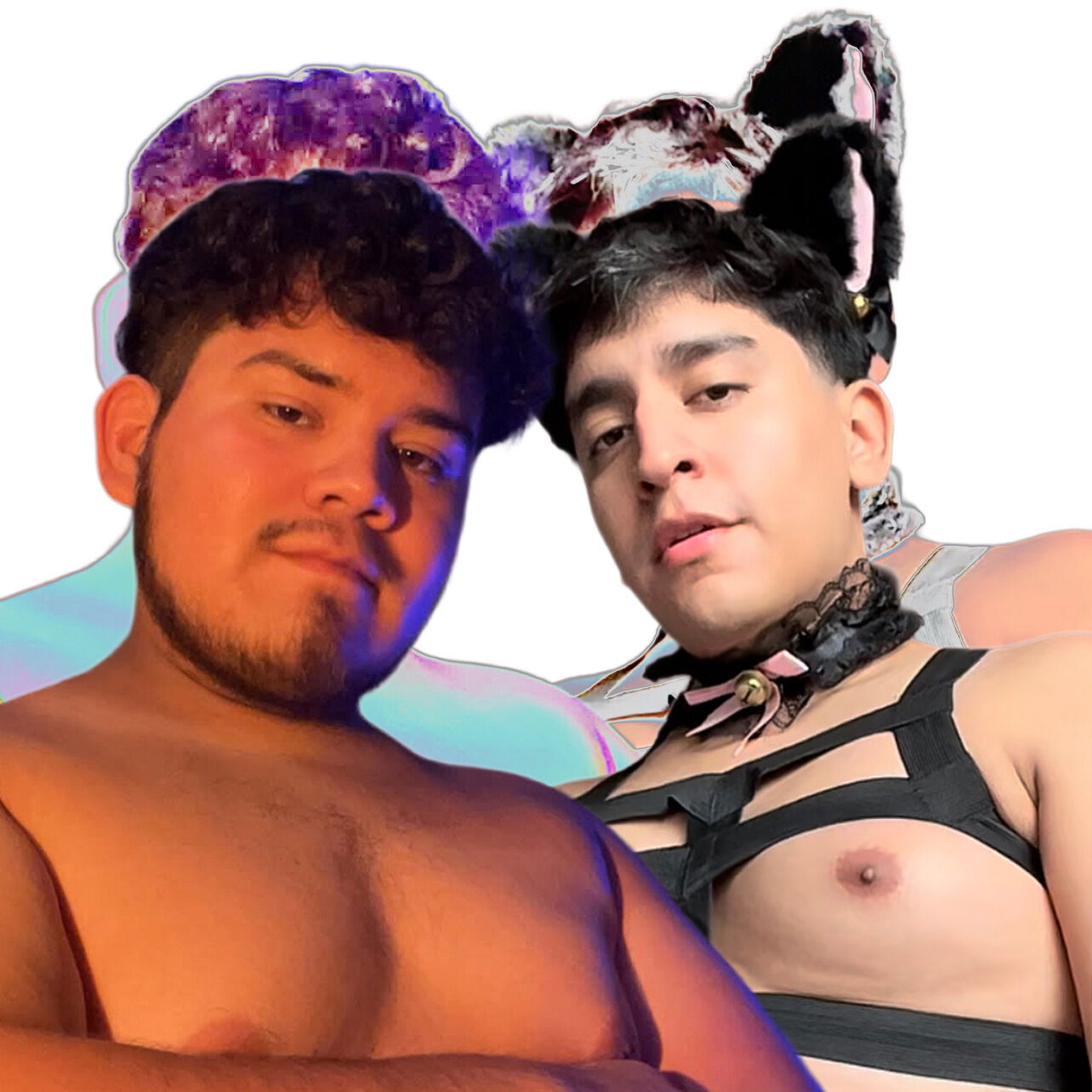 Osito y Chaser 🧸 photo