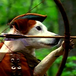 swordgirlfrend photo