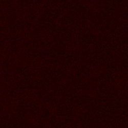 Arizonasunshine 🌞 photo