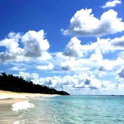 Beautiful Beach Scene