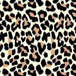 Jessleigh Nope! photo