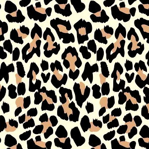 Jessleigh Nope! photo