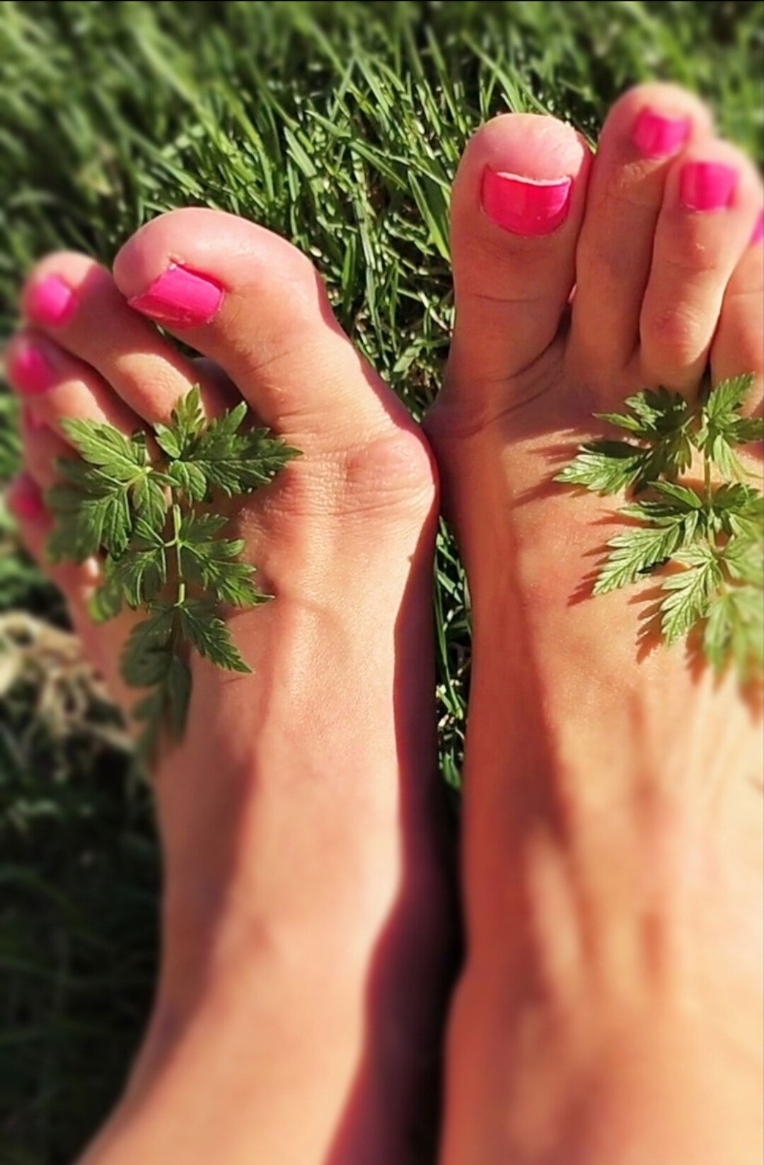 The Fetish Domme photo