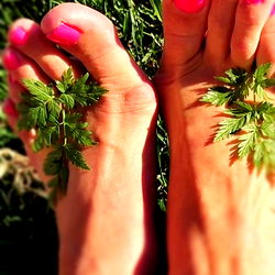 The Fetish Domme photo