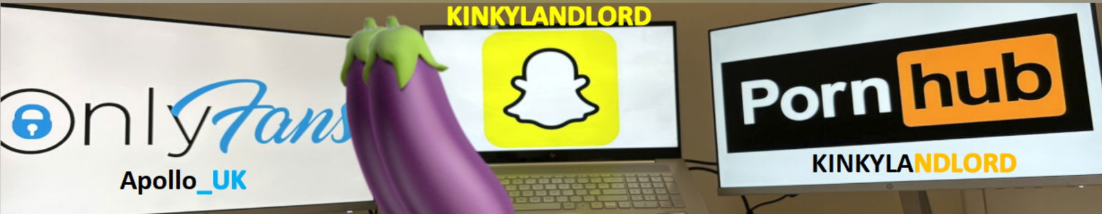 KinkyLandLord photo