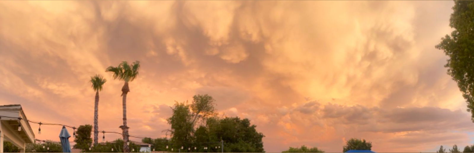 Jasmine Rose 🤍 photo