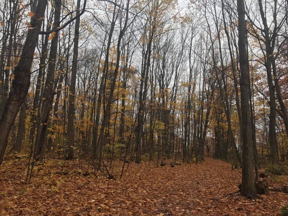 Kinky Nature Girl photo