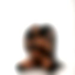 Lindi Nunziato photo